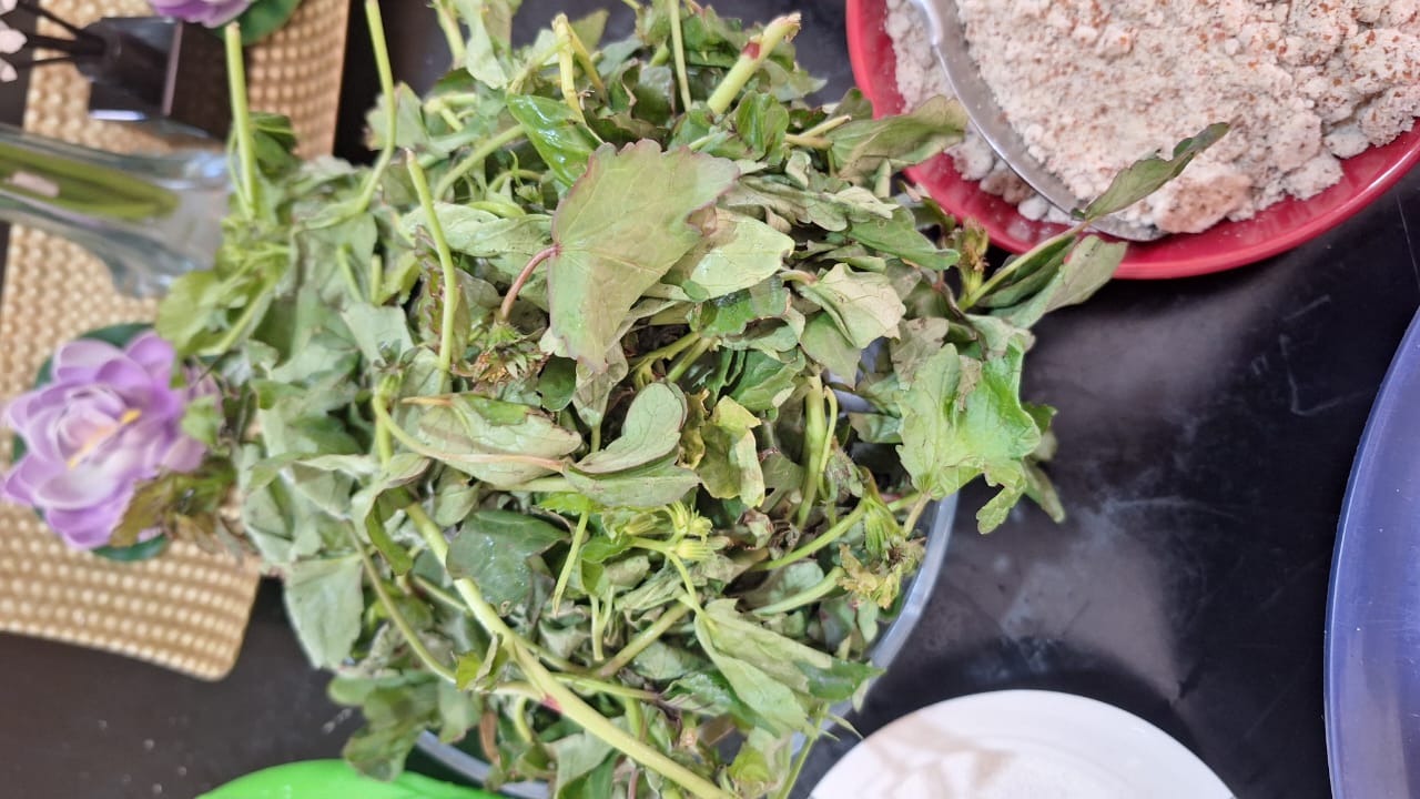 Fresh lumanda (roselle) leaves